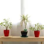 Flh Trindade Cozy Flat بورتو