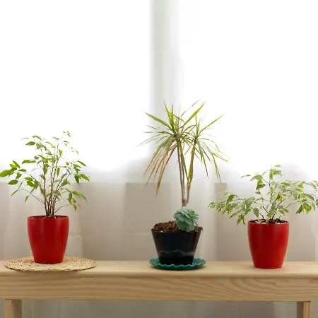 Flh Trindade Cozy Flat 포르투