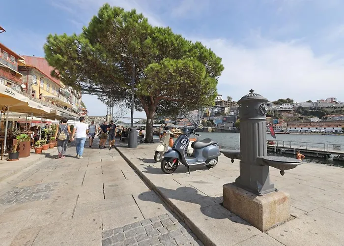 Flh Trindade Cozy Flat Lägenhet *