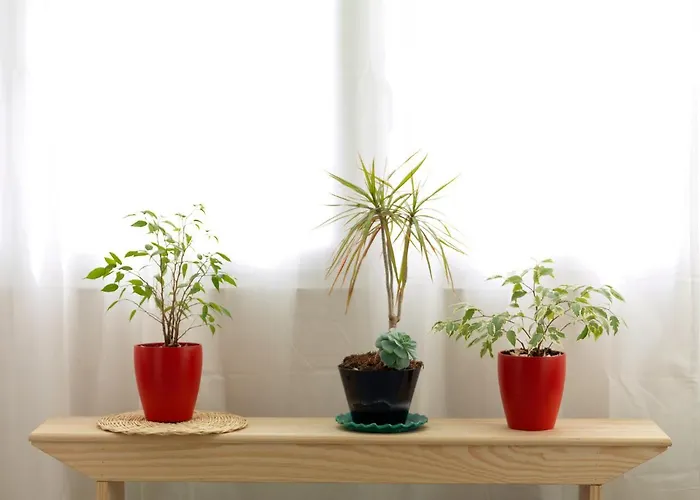 Flh Trindade Cozy Flat Oporto